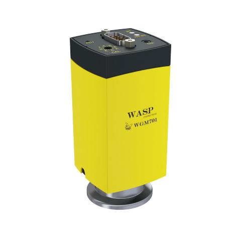 Вакуумметр Пирани InstruTech WGM701 Wasp