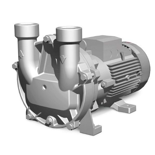 Вакуумный насос Elmo Rietschle L-BV54 2BV5411-1GH04-7S